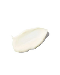 https://cdn.shopify.com/s/files/1/1857/6931/files/KYq2I9edZE.png?v=1730291569