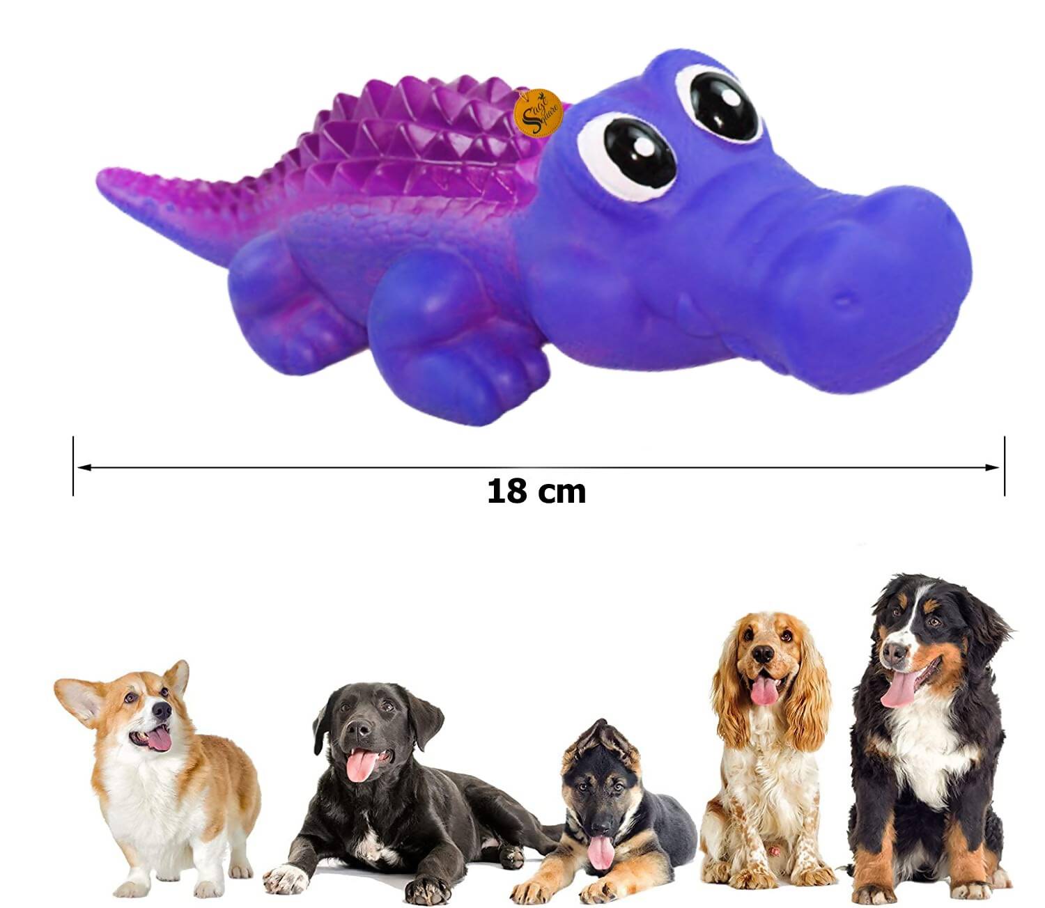 https://cdn.shopify.com/s/files/1/1857/6931/products/KZZQnu0xXu.jpg?v=1706852298