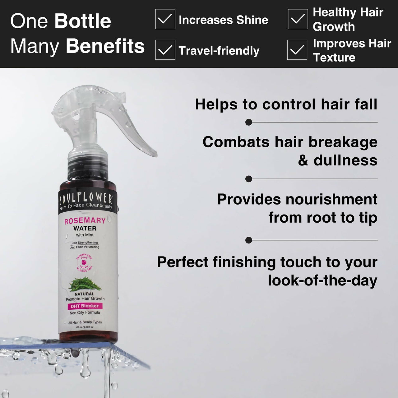 https://cdn.shopify.com/s/files/1/1857/6931/files/KaylYb1f8J.jpg?v=1722606658
