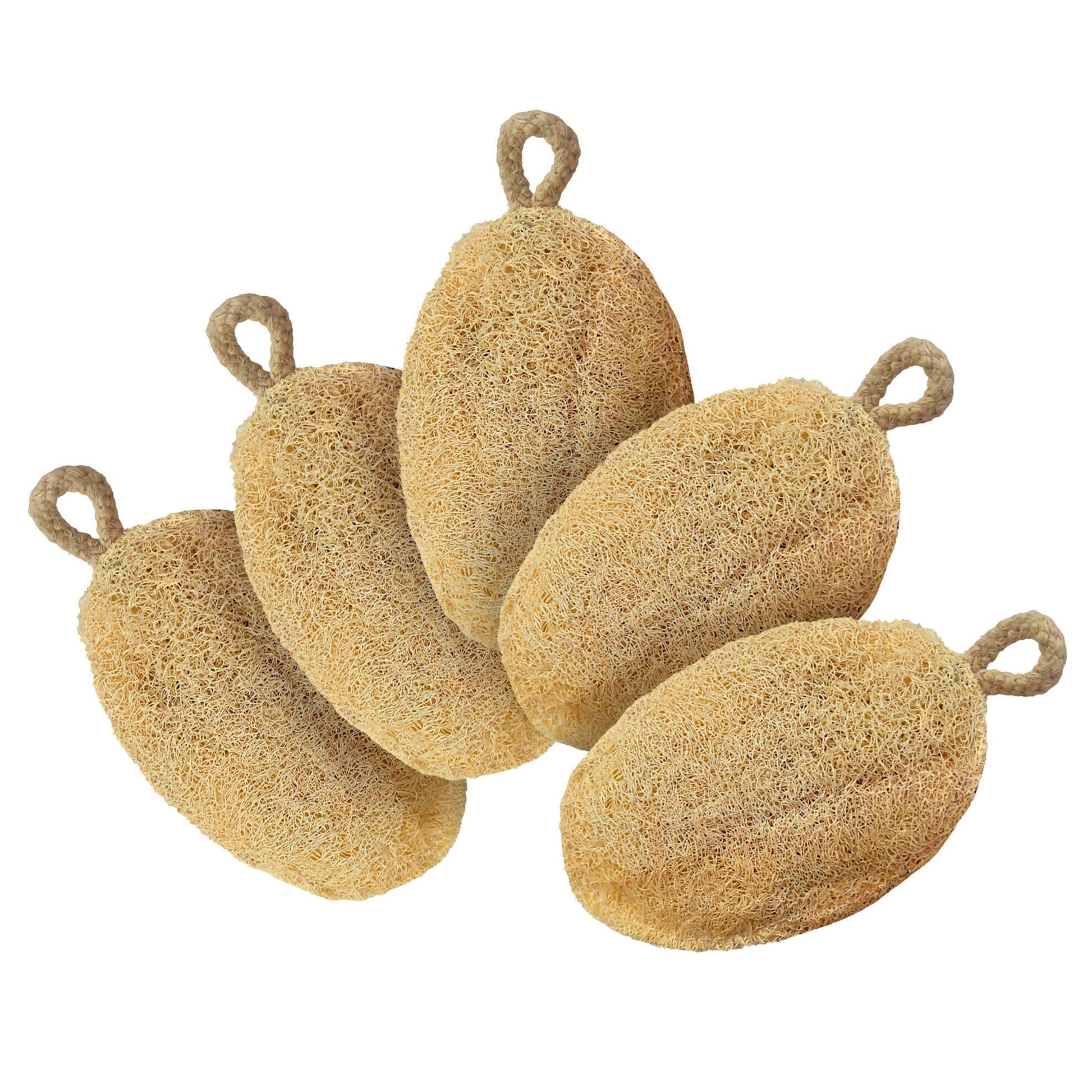 https://cdn.shopify.com/s/files/1/1857/6931/products/Ke1jmmJOQW.jpg?v=1738732004