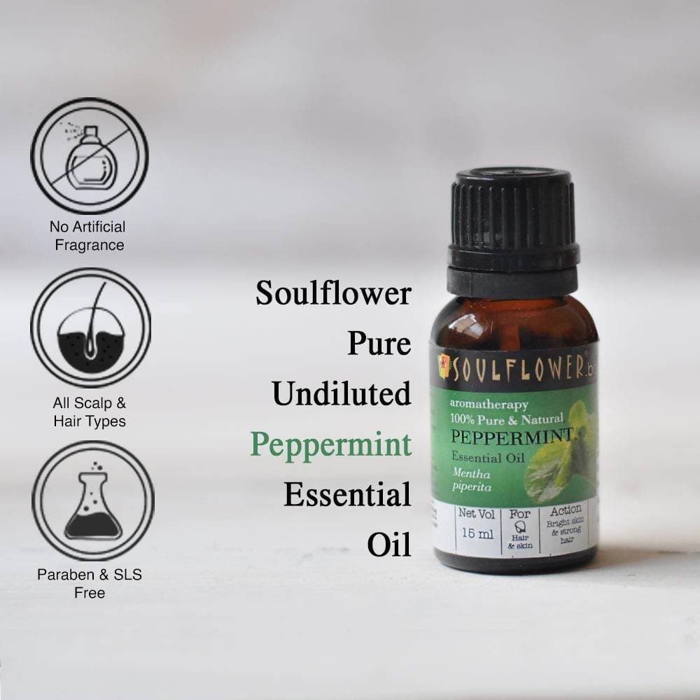https://cdn.shopify.com/s/files/1/1857/6931/products/KehgEOdFNU.jpg?v=1614911232