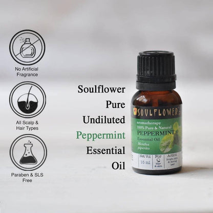https://cdn.shopify.com/s/files/1/1857/6931/products/KehgEOdFNU.jpg?v=1614911232