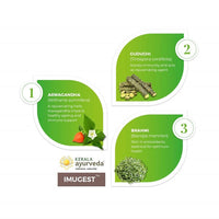 https://cdn.shopify.com/s/files/1/1857/6931/products/KeralaAyurvedaImugestTablet3.jpg?v=1624710432