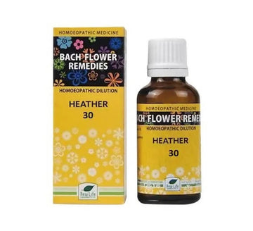 https://cdn.shopify.com/s/files/1/1857/6931/products/KhRNn00fjT.jpg?v=1762313425