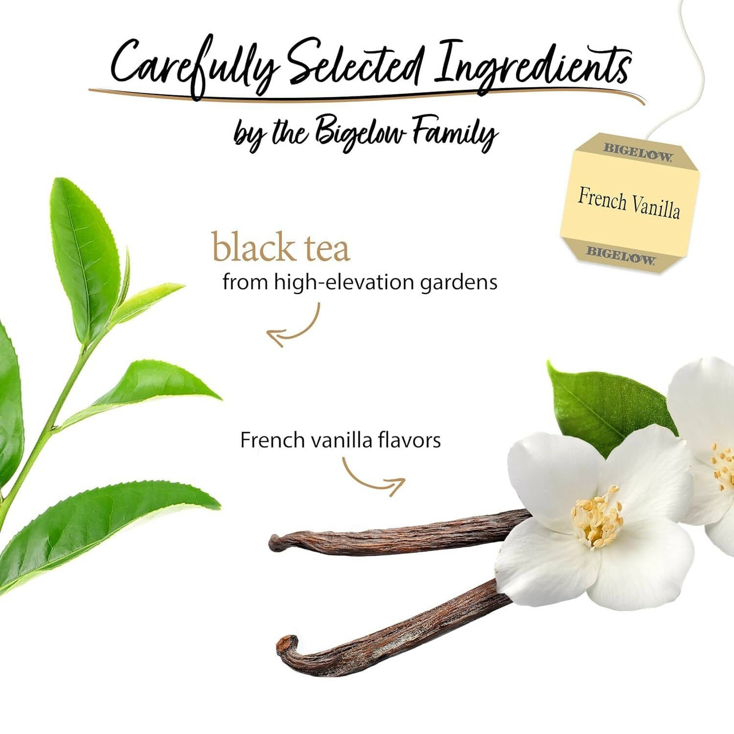 https://cdn.shopify.com/s/files/1/1857/6931/products/KlH6j7ypWc.jpg?v=1704374970