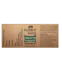 https://cdn.shopify.com/s/files/1/1857/6931/files/Ks2MTiWbR8-498531.jpg?v=1736147459