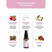 https://cdn.shopify.com/s/files/1/1857/6931/products/KsQoclbMqM.jpg?v=1686043381
