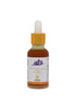 https://cdn.shopify.com/s/files/1/1857/6931/files/Kumkumadi_Oil.jpg?v=1773824909