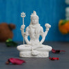 https://cdn.shopify.com/s/files/1/1857/6931/files/KwAGuziAox.jpg?v=1715002339