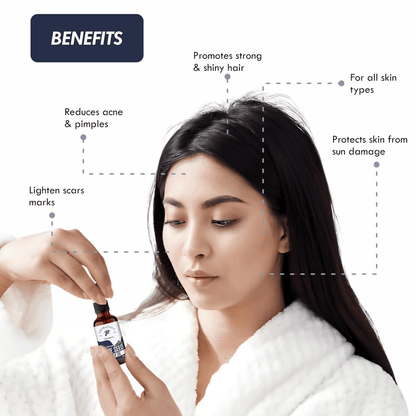 https://cdn.shopify.com/s/files/1/1857/6931/files/KyQ0AVCueE-858946.png?v=1736149328