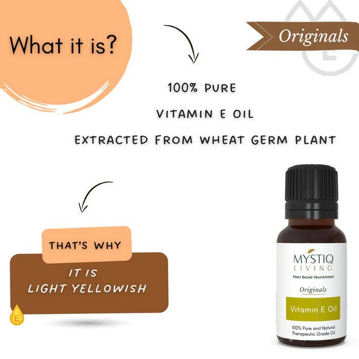 https://cdn.shopify.com/s/files/1/1857/6931/products/L1aBUBkTHf.jpg?v=1664361715