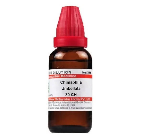 https://cdn.shopify.com/s/files/1/1857/6931/products/L2nEuY4tUQ.jpg?v=1641293548
