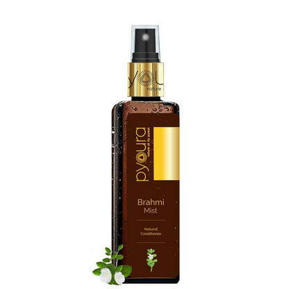https://cdn.shopify.com/s/files/1/1857/6931/files/L8TTMlJxN6.png?v=1731317984