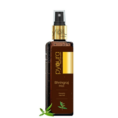 https://cdn.shopify.com/s/files/1/1857/6931/files/L9zpThOs6f.png?v=1731318018