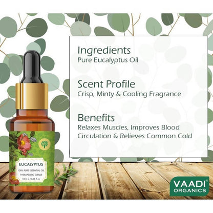 https://cdn.shopify.com/s/files/1/1857/6931/products/LAE4dwCiZL.jpg?v=1617935365
