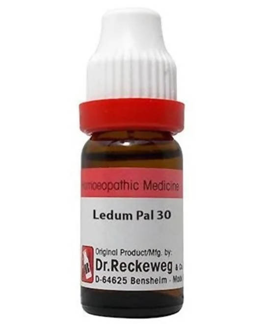 https://cdn.shopify.com/s/files/1/1857/6931/products/LFyqU8hFUd.jpg?v=1654941665