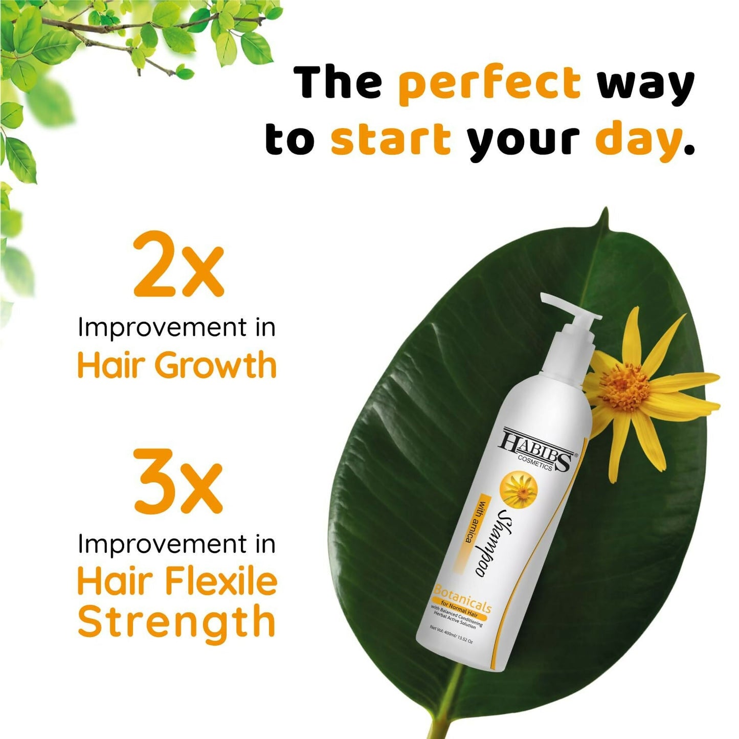 https://cdn.shopify.com/s/files/1/1857/6931/files/LGTZYixFmE.jpg?v=1729748515