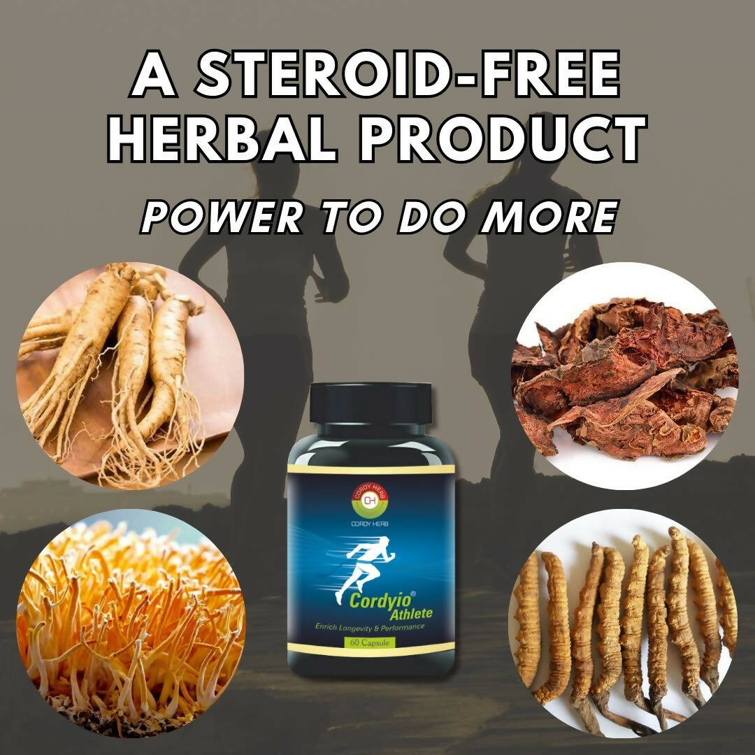 https://cdn.shopify.com/s/files/1/1857/6931/products/LGZSSUkV1G.jpg?v=1741169279