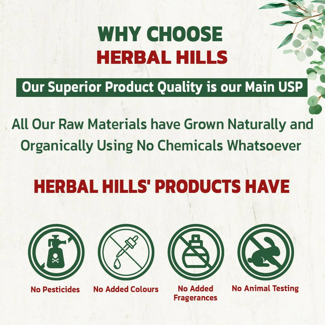 https://cdn.shopify.com/s/files/1/1857/6931/products/LHl6QGCafp.jpg?v=1698730991