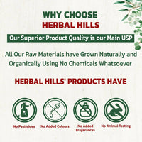https://cdn.shopify.com/s/files/1/1857/6931/products/LHl6QGCafp.jpg?v=1698730991