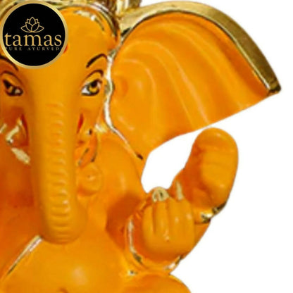 https://cdn.shopify.com/s/files/1/1857/6931/products/LIdLibrjW0.jpg?v=1676010776