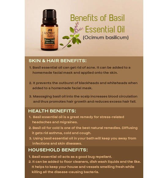 https://cdn.shopify.com/s/files/1/1857/6931/files/LLbO0GHR5d-814155.jpg?v=1736147460