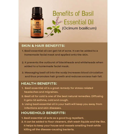 https://cdn.shopify.com/s/files/1/1857/6931/files/LLbO0GHR5d-814155.jpg?v=1736147460
