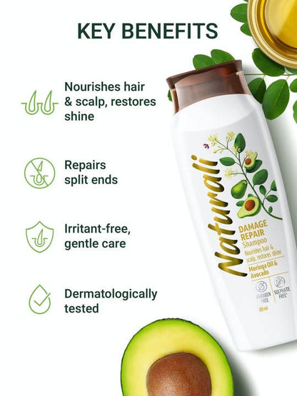https://cdn.shopify.com/s/files/1/1857/6931/products/LNgtPTF14m.jpg?v=1641623904