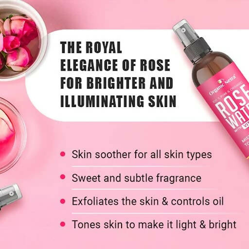 https://cdn.shopify.com/s/files/1/1857/6931/products/LOGbwJImLP.jpg?v=1678968950
