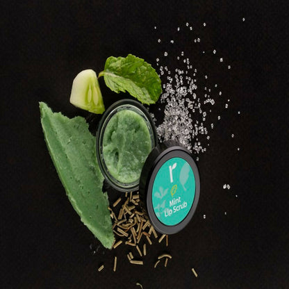 https://cdn.shopify.com/s/files/1/1857/6931/products/LOe2vfGzAb.jpg?v=1692856987