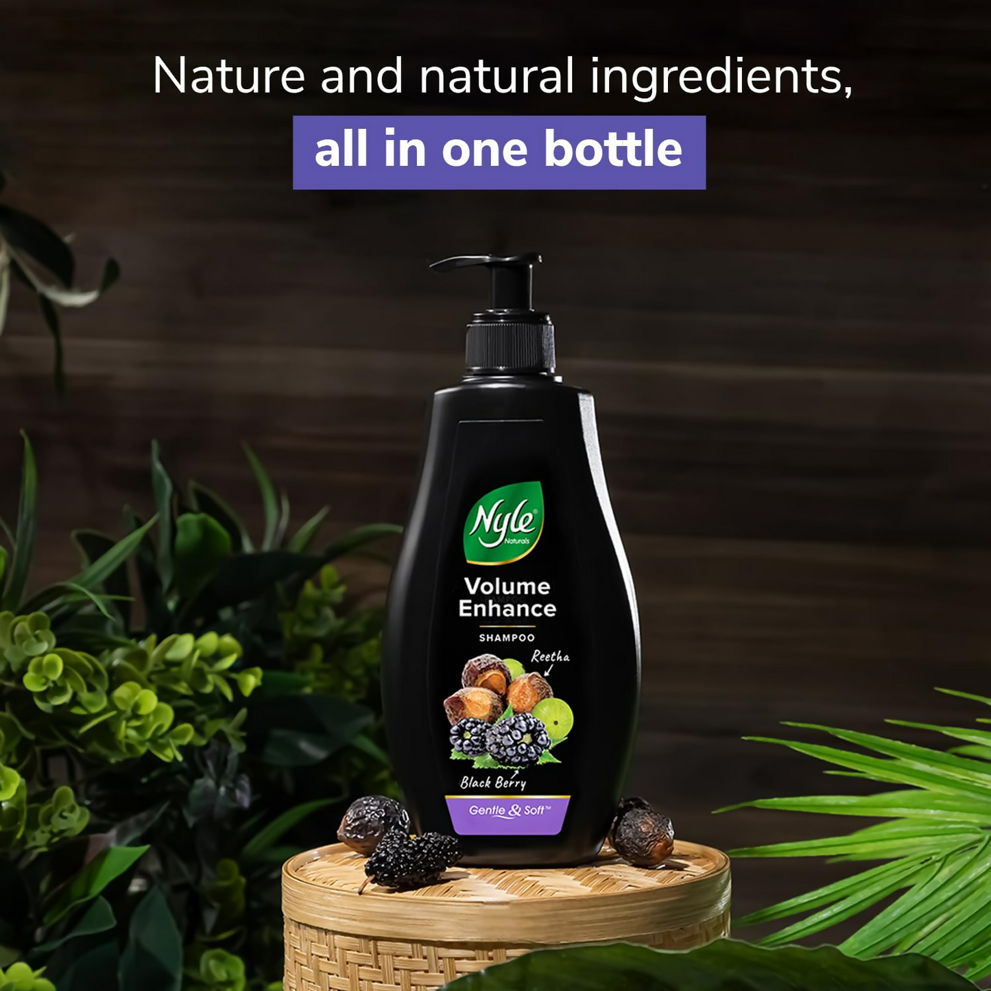 https://cdn.shopify.com/s/files/1/1857/6931/files/LP6Wubsf7V.png?v=1728283847
