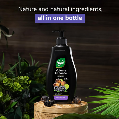 https://cdn.shopify.com/s/files/1/1857/6931/files/LP6Wubsf7V.png?v=1728283847