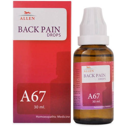 https://cdn.shopify.com/s/files/1/1857/6931/files/LT6gE0syw5-639231.jpg?v=1736146496