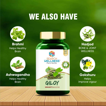 https://cdn.shopify.com/s/files/1/1857/6931/products/LTft901cpN.jpg?v=1683805680