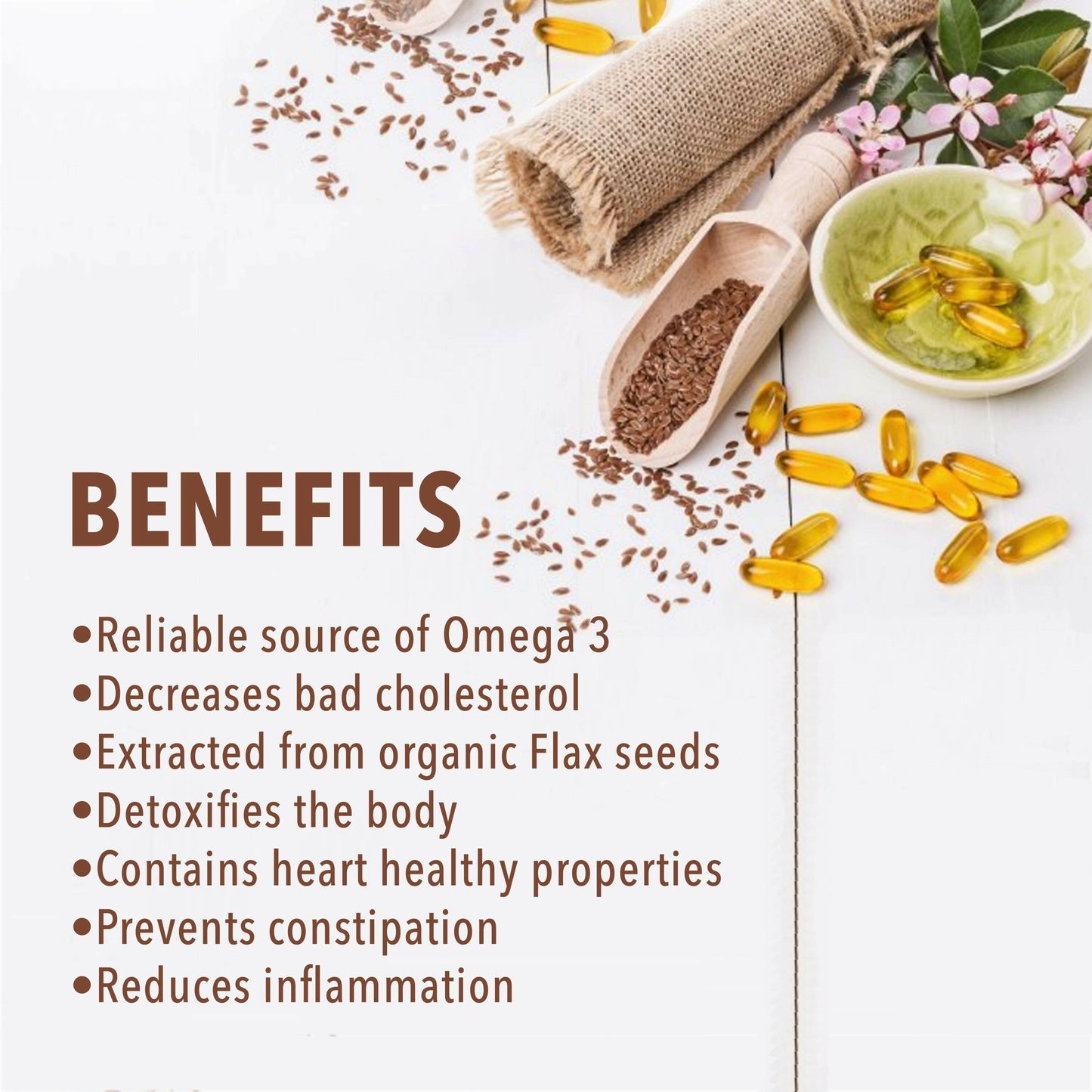 https://cdn.shopify.com/s/files/1/1857/6931/products/LUm6FibLWm.jpg?v=1673265784