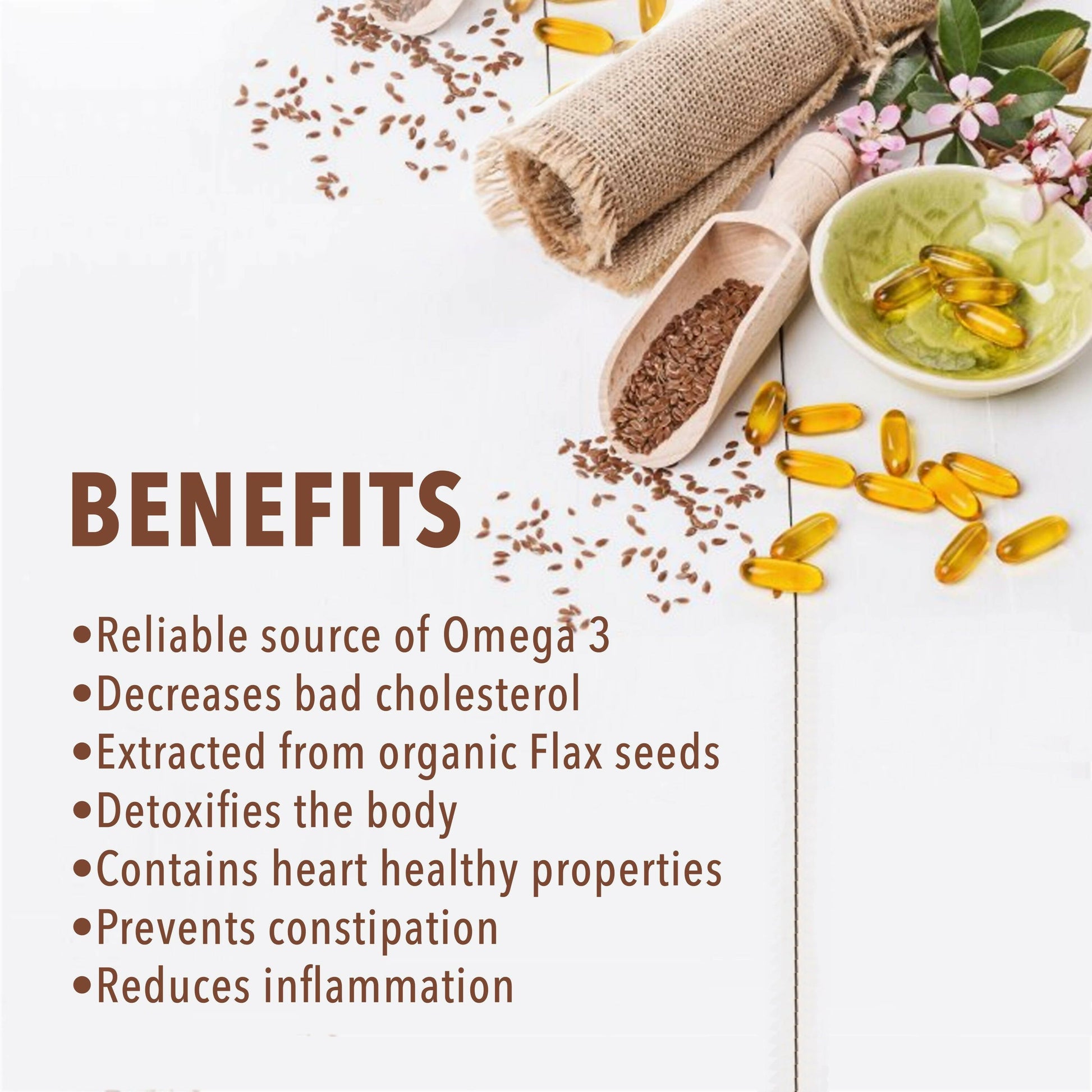 https://cdn.shopify.com/s/files/1/1857/6931/products/LUm6FibLWm.jpg?v=1673265784