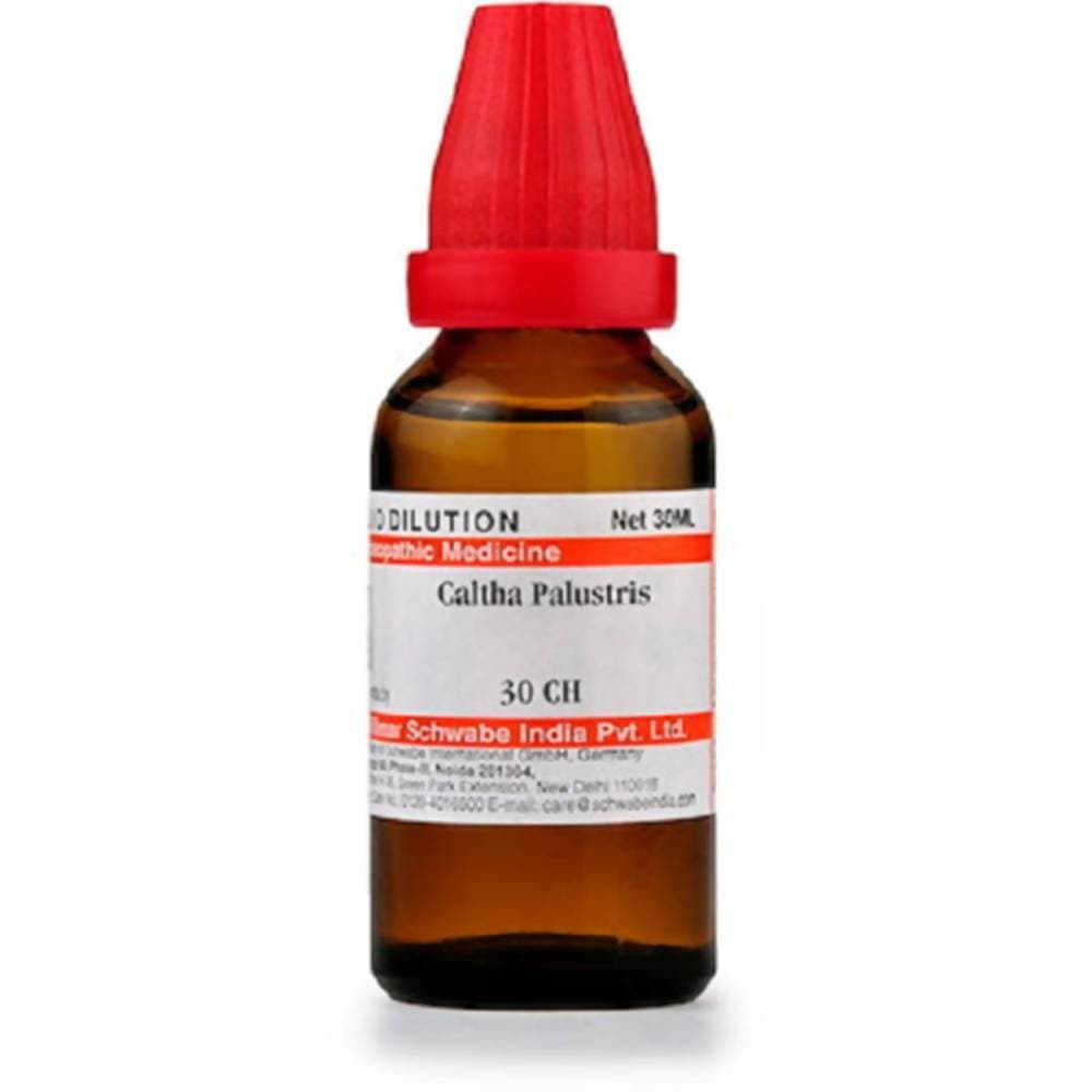 https://cdn.shopify.com/s/files/1/1857/6931/products/LXAEfPZKv1.jpg?v=1613912044