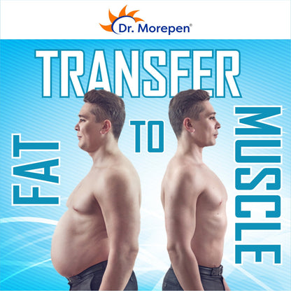 https://cdn.shopify.com/s/files/1/1857/6931/files/L_Carnitine_06.jpg?v=1761138661