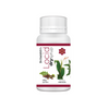https://cdn.shopify.com/s/files/1/1857/6931/products/LeMQpyDHe1.png?v=1695892285