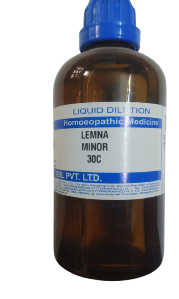 https://cdn.shopify.com/s/files/1/1857/6931/products/Lemna_Minor_30C-removebg-preview.png?v=1618471577