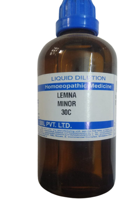 https://cdn.shopify.com/s/files/1/1857/6931/products/Lemna_Minor_30C-removebg-preview.png?v=1618471577