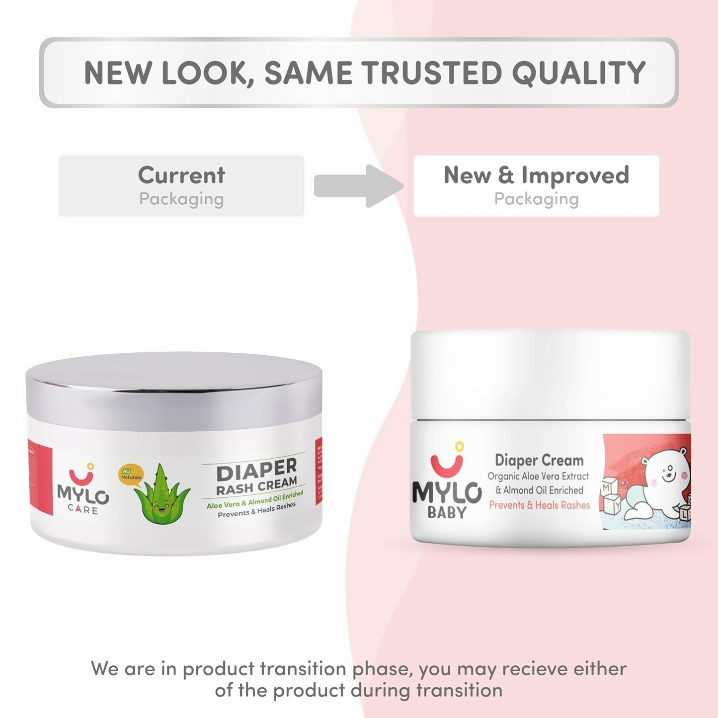https://cdn.shopify.com/s/files/1/1857/6931/files/Ll4Blzb22O.png?v=1737975274