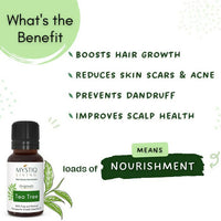 https://cdn.shopify.com/s/files/1/1857/6931/products/Llbl069MSf.jpg?v=1664364985