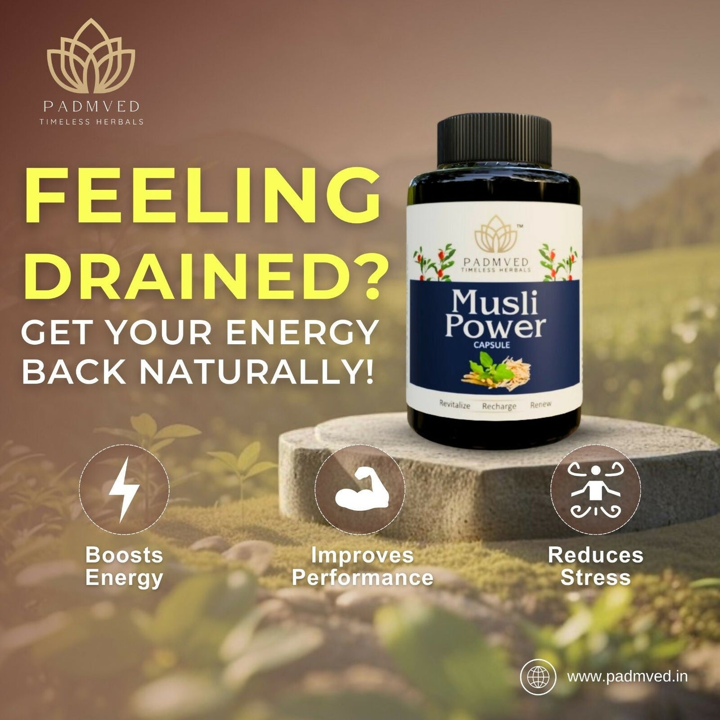 https://cdn.shopify.com/s/files/1/1857/6931/files/LlyhcM5dfv.jpg?v=1740033470