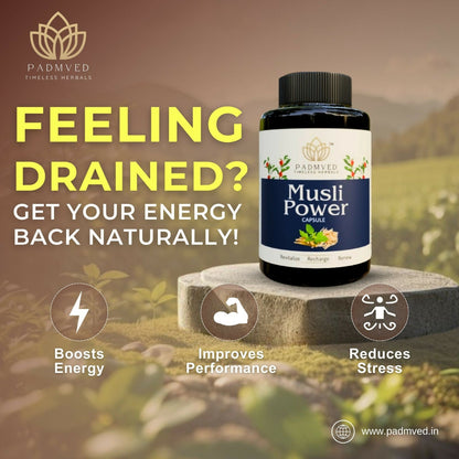 https://cdn.shopify.com/s/files/1/1857/6931/files/LlyhcM5dfv.jpg?v=1740033470