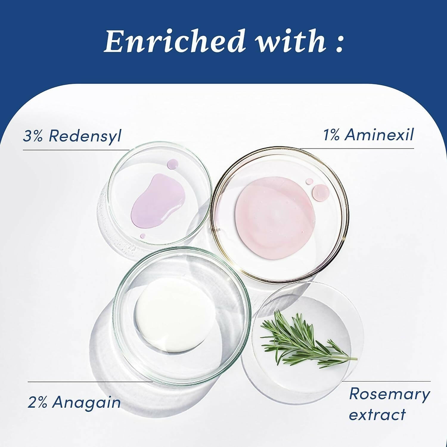 https://cdn.shopify.com/s/files/1/1857/6931/products/LoQhKoT25u.jpg?v=1759131165