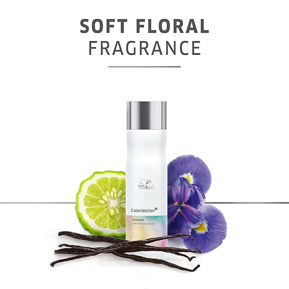 https://cdn.shopify.com/s/files/1/1857/6931/products/LonvXbgmBm.jpg?v=1685086943