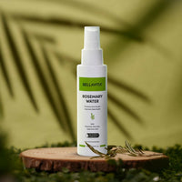 https://cdn.shopify.com/s/files/1/1857/6931/files/LpXDaHQeXK.jpg?v=1729066529