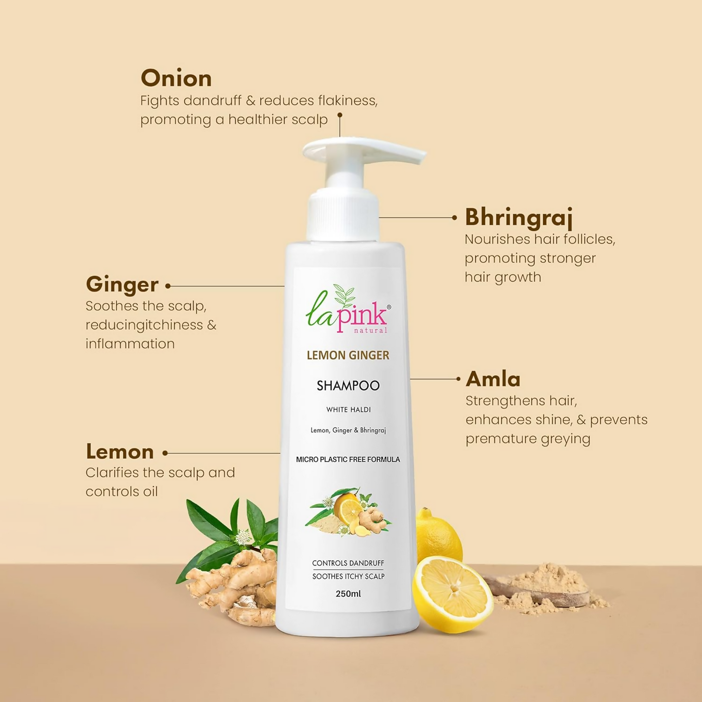https://cdn.shopify.com/s/files/1/1857/6931/files/LpmZpJEDxK.png?v=1729504382
