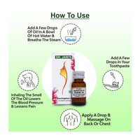 https://cdn.shopify.com/s/files/1/1857/6931/products/LptudoAJOY.jpg?v=1646632933